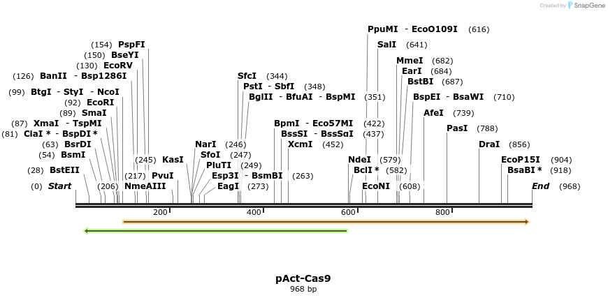 104052_map