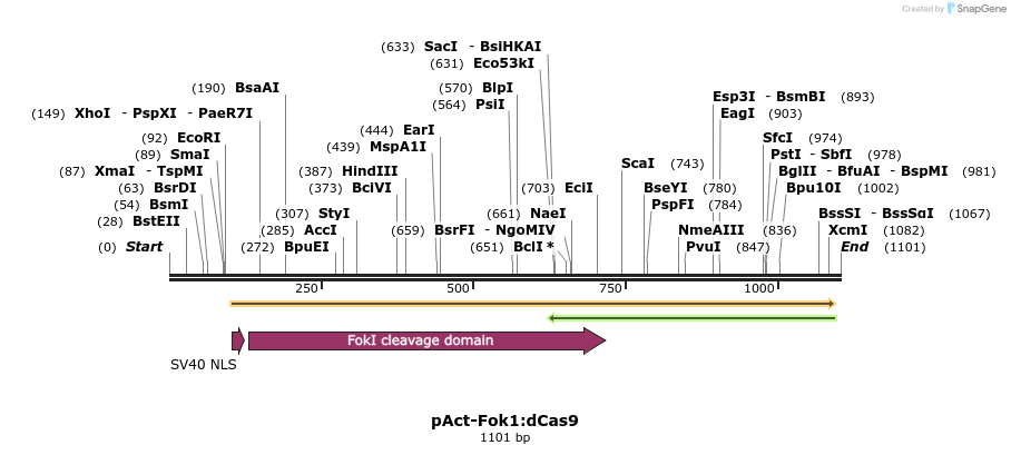 104053_map