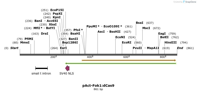 104054_map