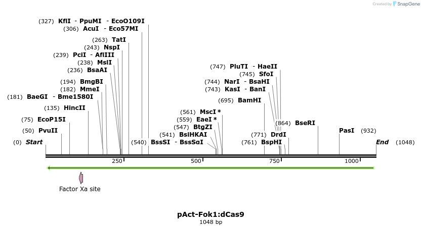 104055_map