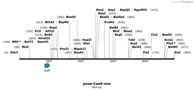 104056_map