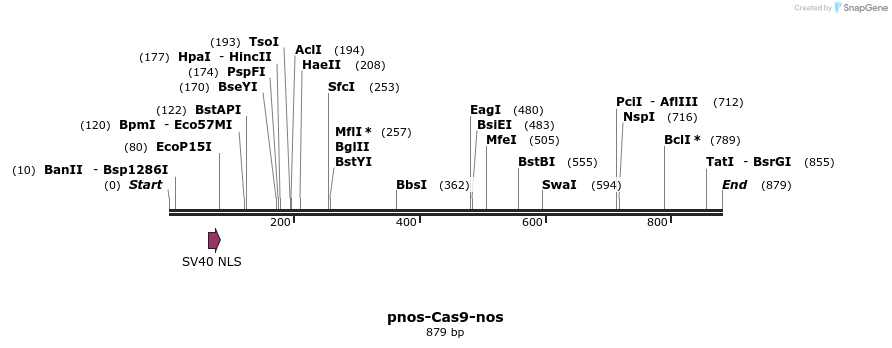 104057_map