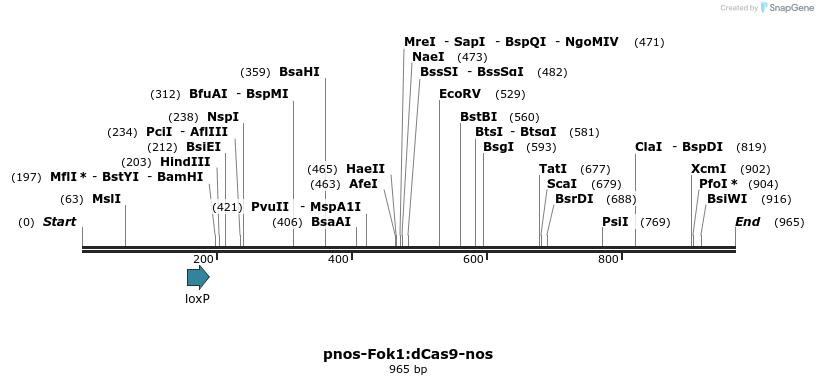 104060_map