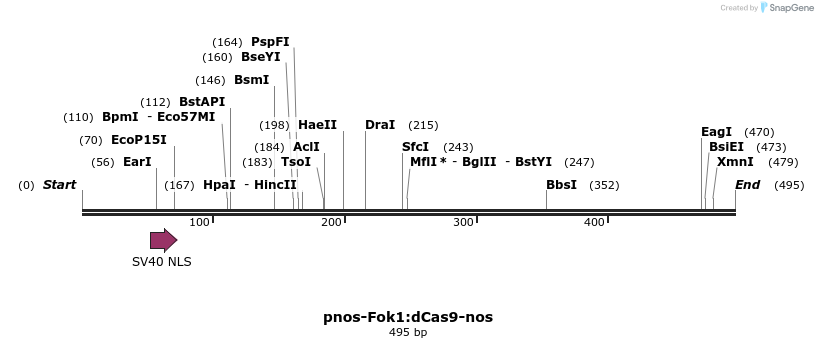 104061_map