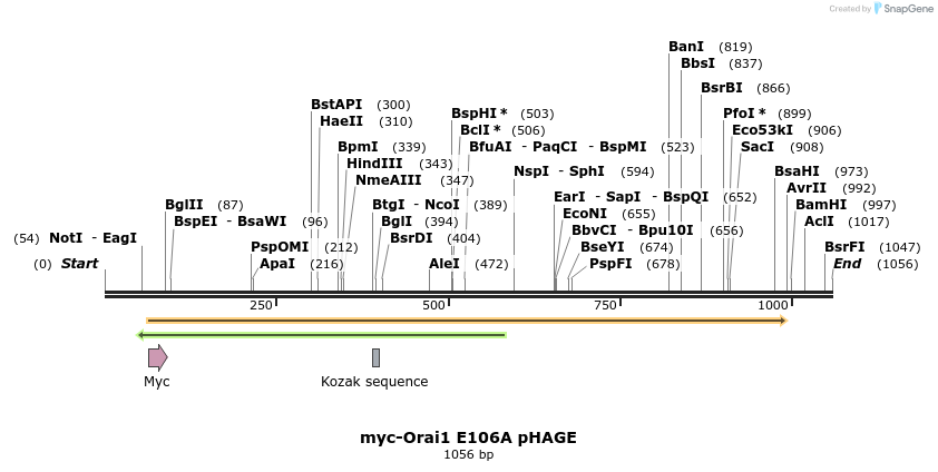 10407_map