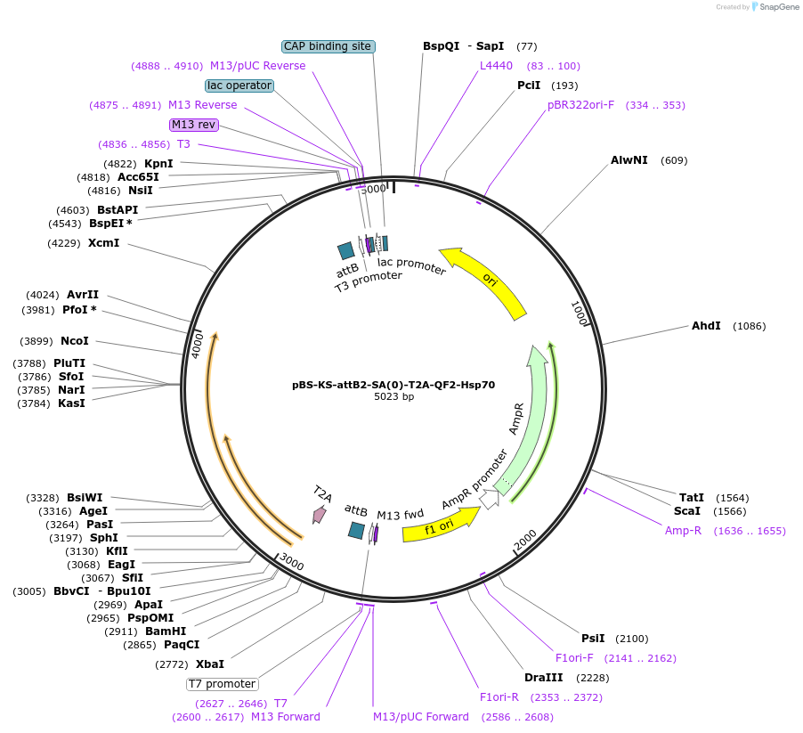 104071_map