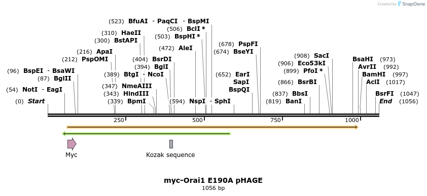 10408_map