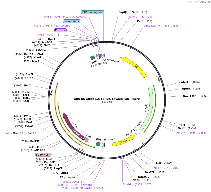 104081_map