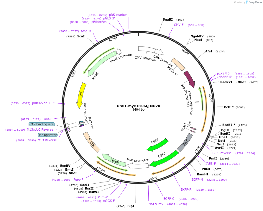 10409_map