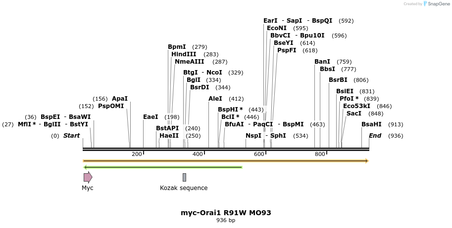 10411_map