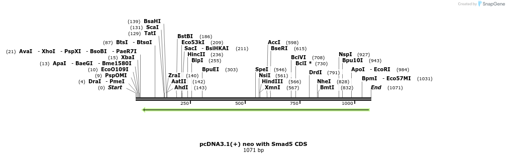 104110_map