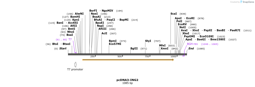 104112_map