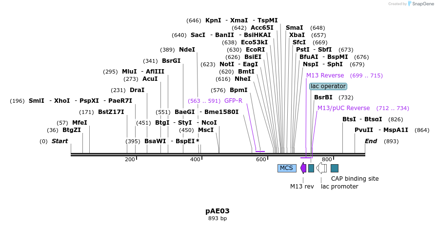 104115_map