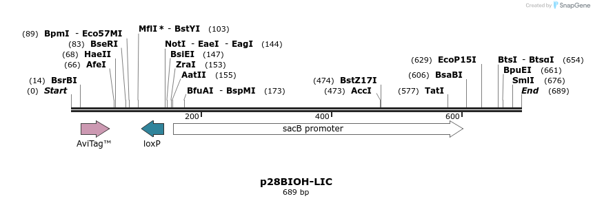 104117_map