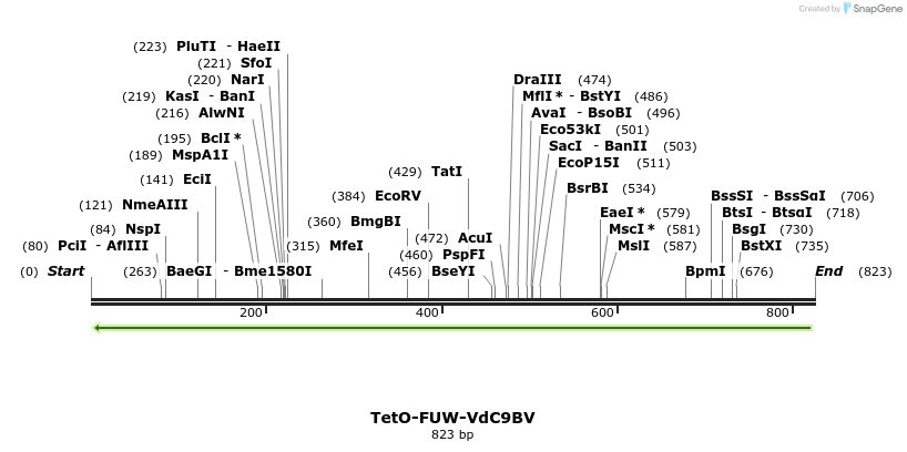 104120_map