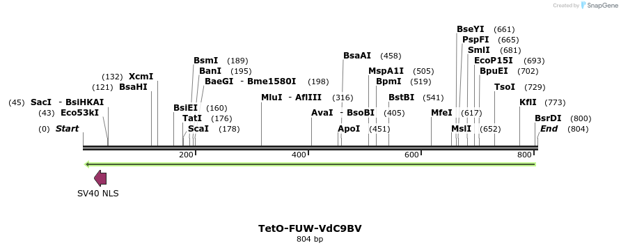 104124_map