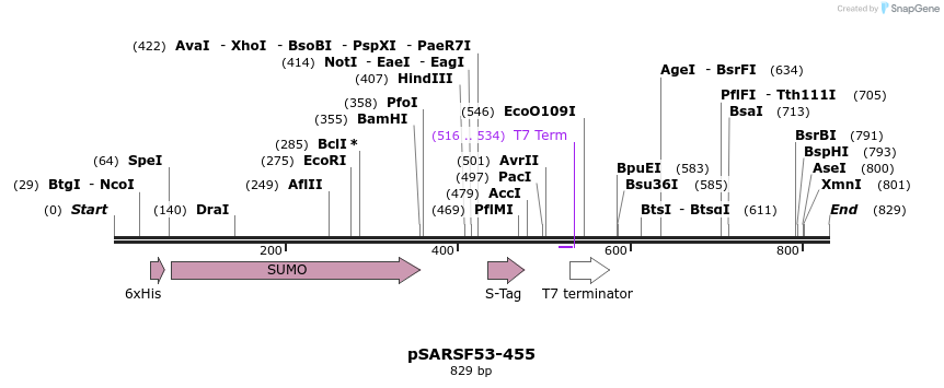 104125_map
