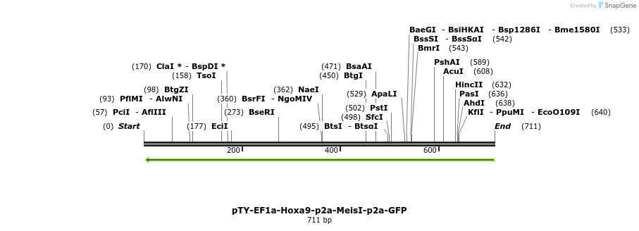 104126_map