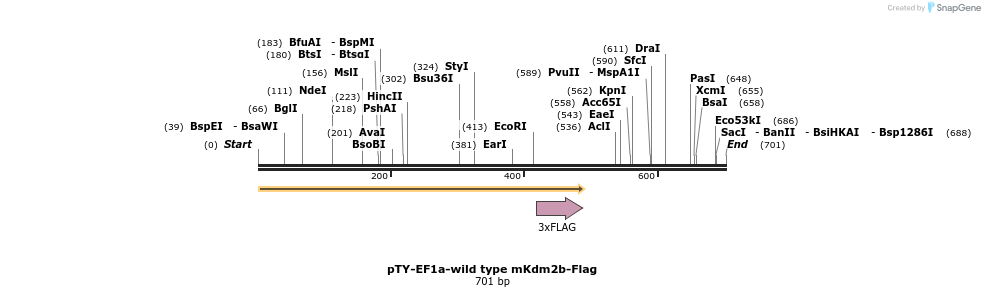 104127_map
