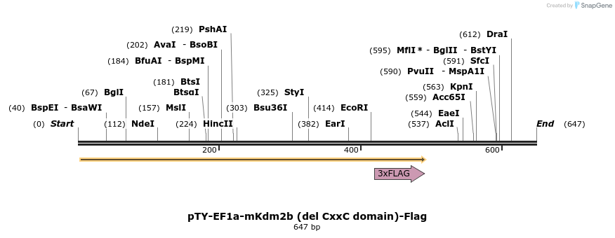 104129_map