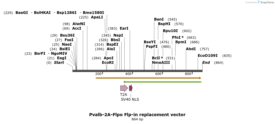 104144_map