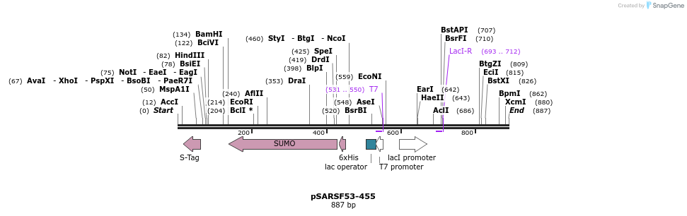 104146_map
