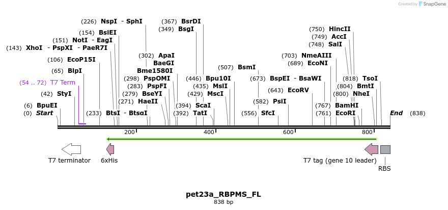 104148_map