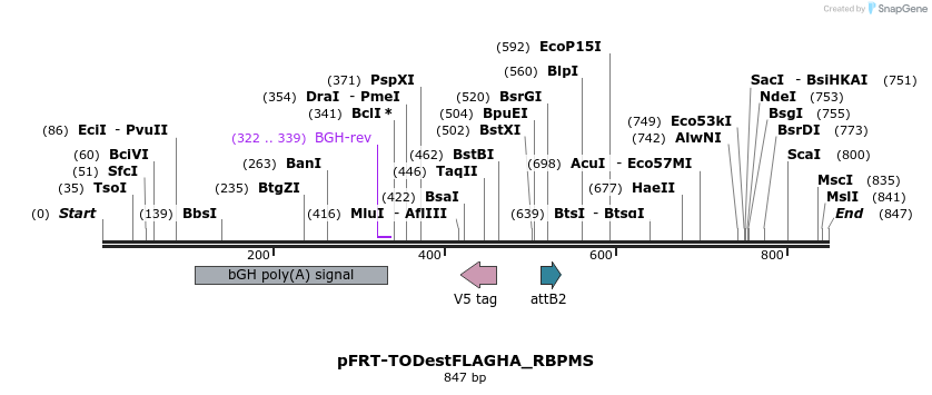 104154_map