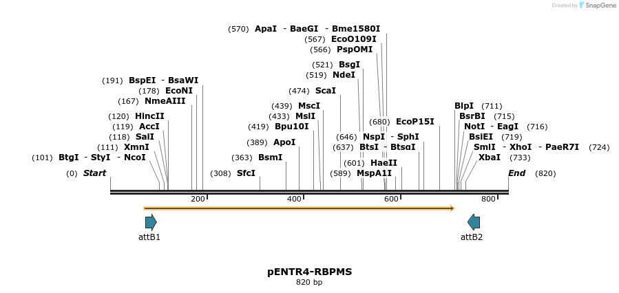 104157_map