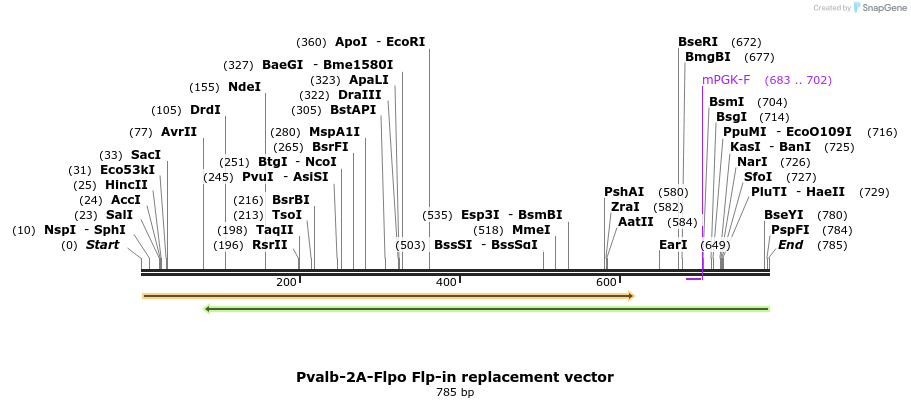 104160_map