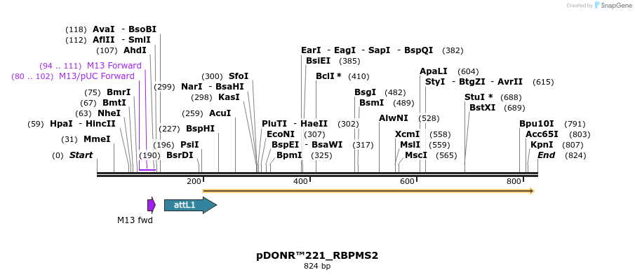 104170_map