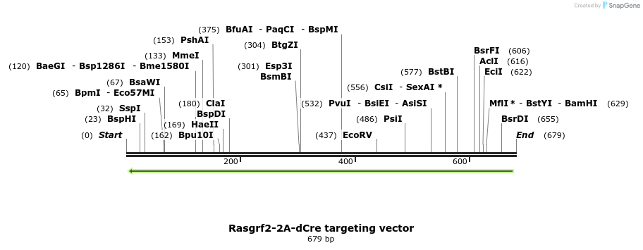 104171_map