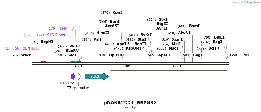 104173_map