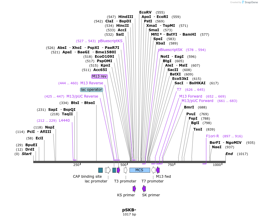104178_map