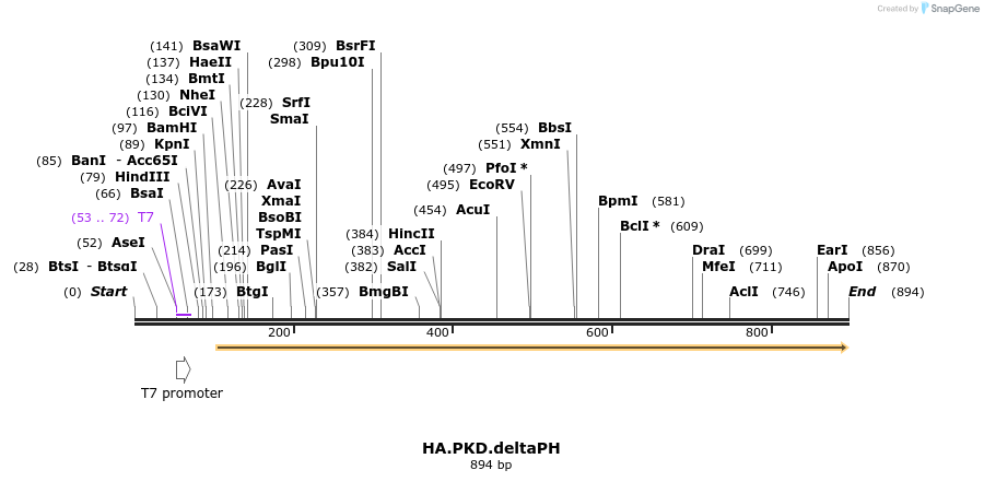 104179_map