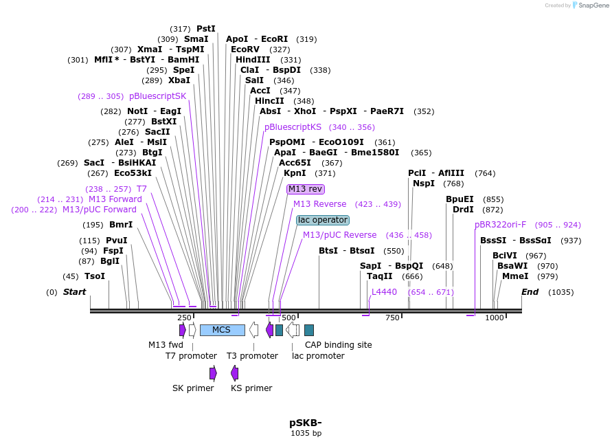 104181_map