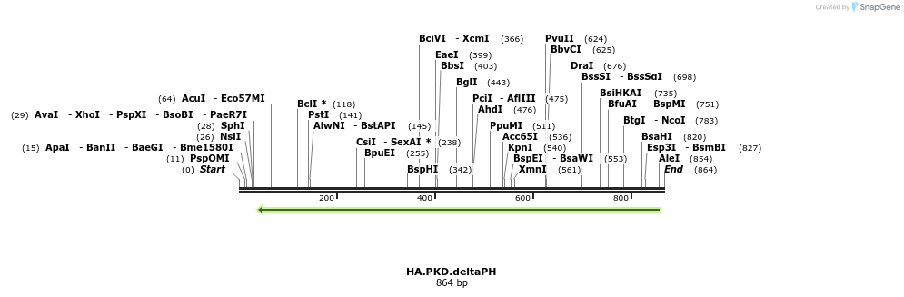 104183_map