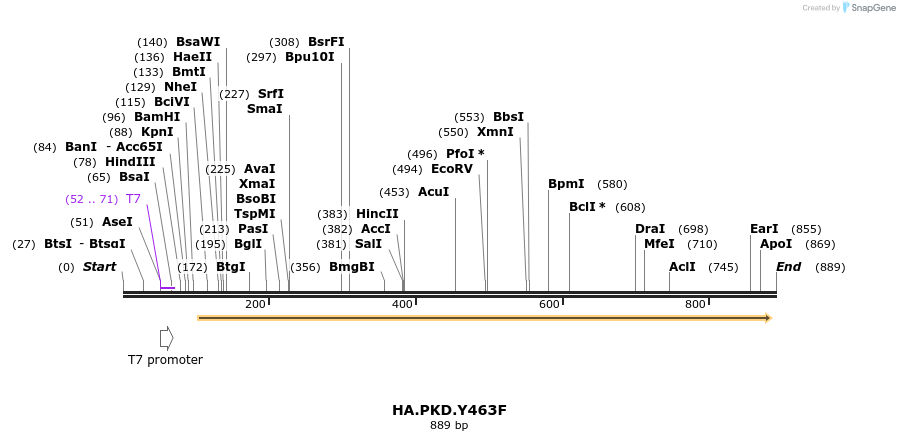 104186_map