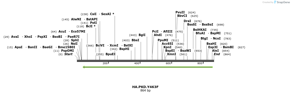 104187_map