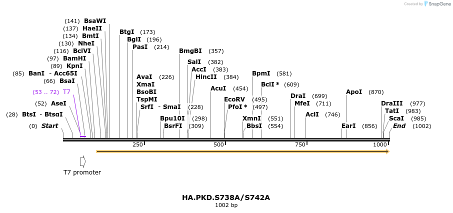 104188_map