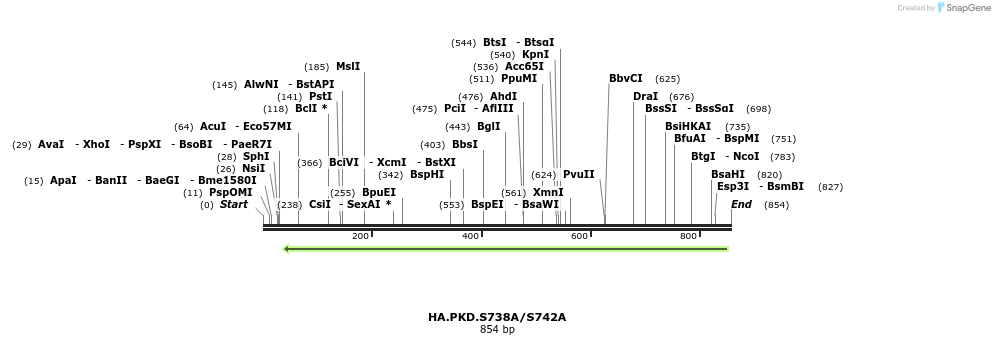 104190_map