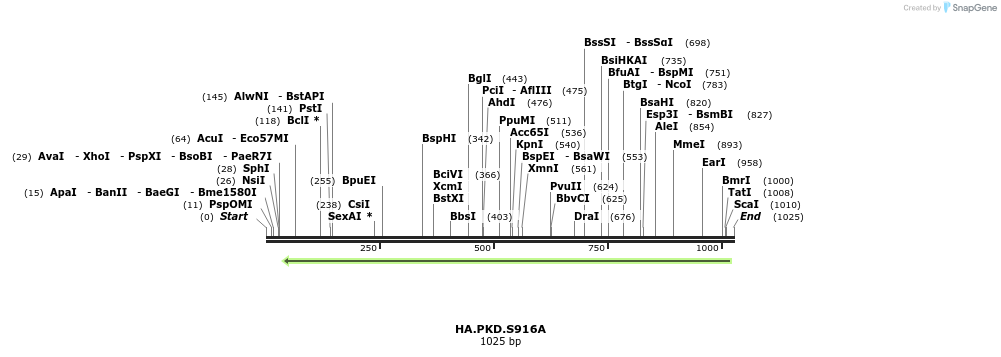 104194_map