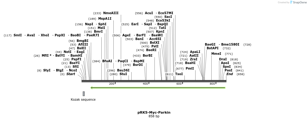 104204_map