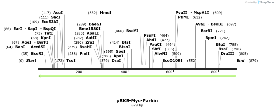 104205_map