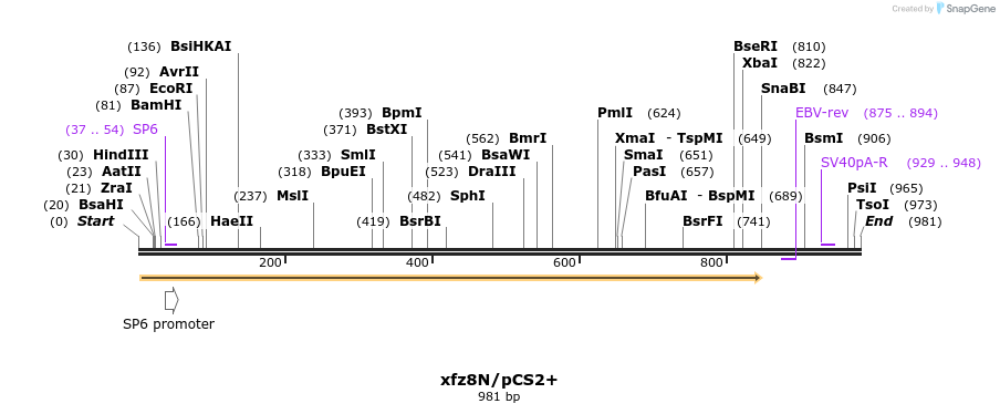 104207_map