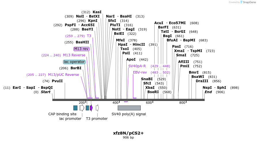 104208_map