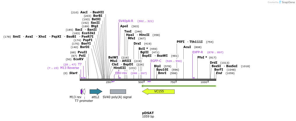 104213_map
