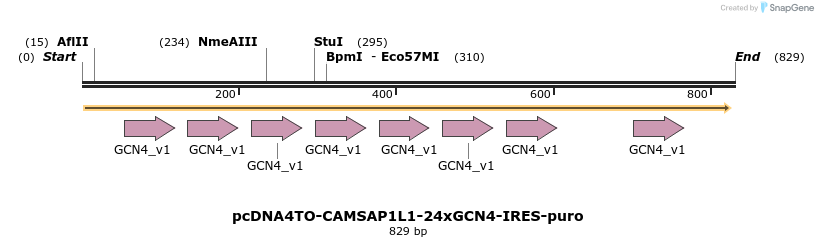 104223_map