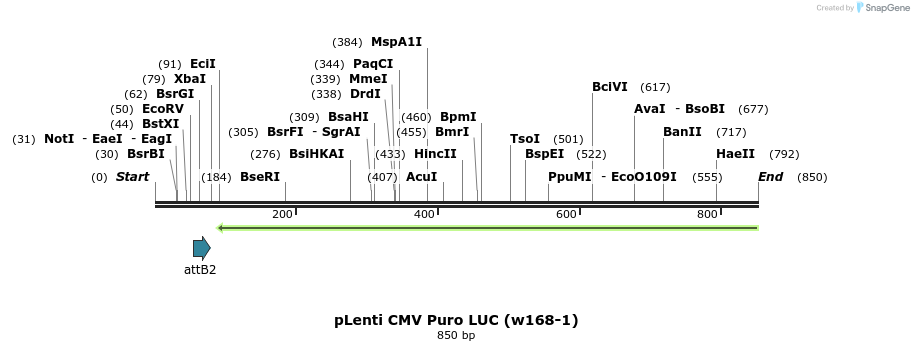 104231_map
