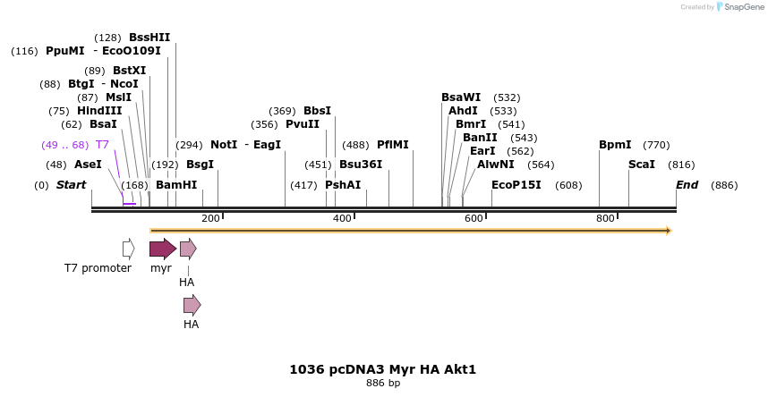 104233_map